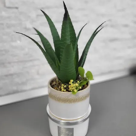 Garsoniera Ady * Mangalia